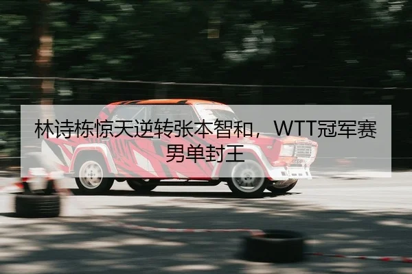 林诗栋惊天逆转张本智和，WTT冠军赛男单封王